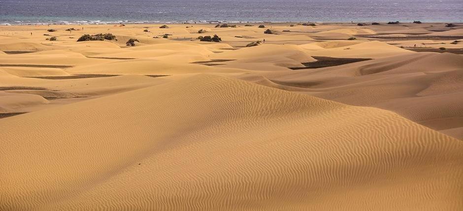 Relax Bungalow With Parking Villa Maspalomas  Esterno foto
